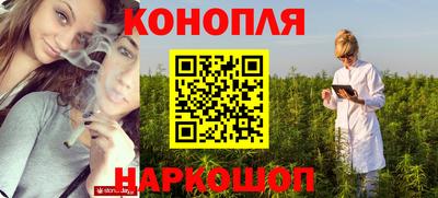 мяу мяу мука Партизанск