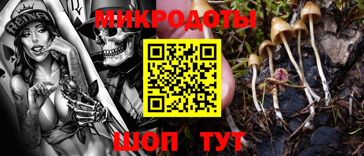 Галлюциногенные грибы мицелий Рязань